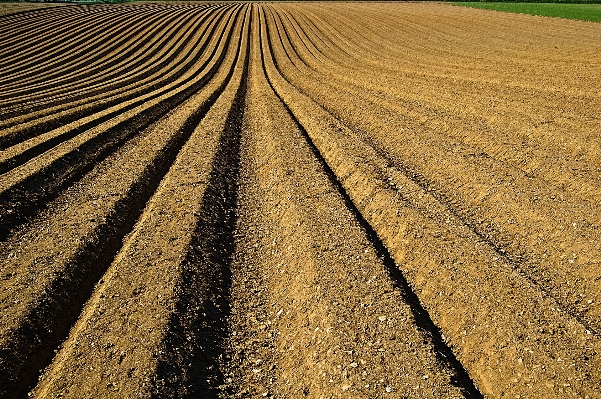 Landscape sand horizon field Photo