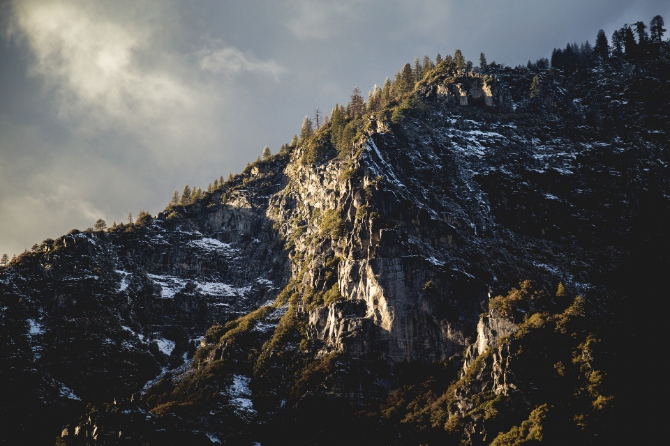 Paesaggio albero natura rock