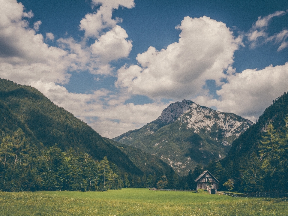 Krajobraz drzewo natura trawa