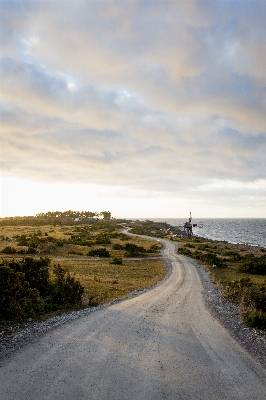 Landscape sea coast tree Photo