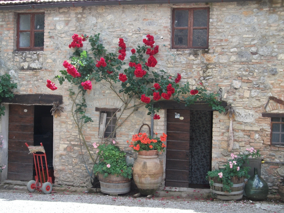 Flower window home wall