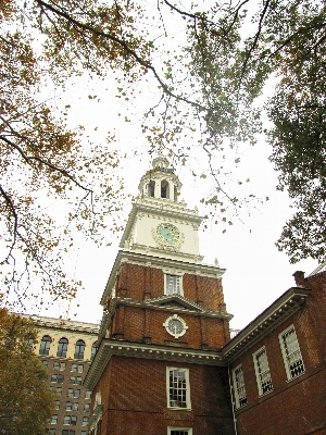 Tree building tower facade Photo