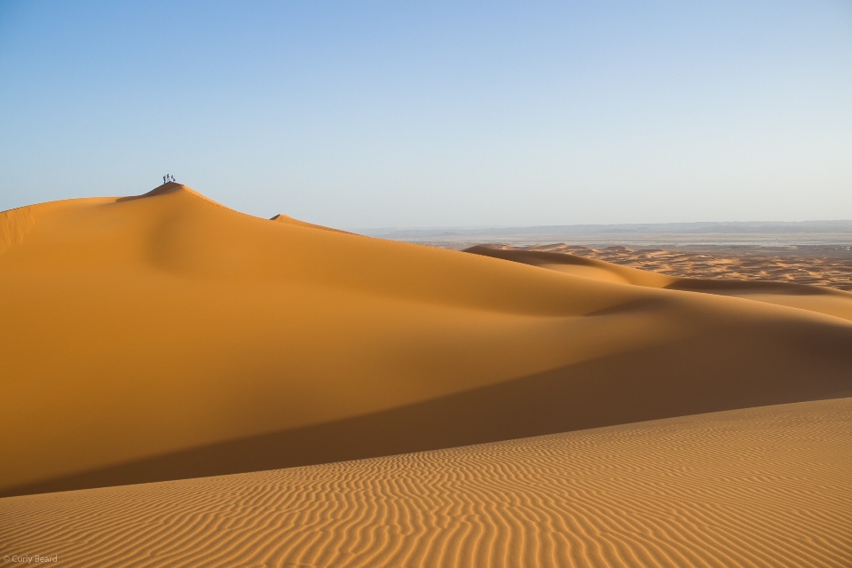 Landschaft sand wüste düne
