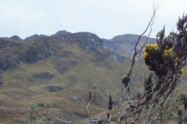 Landscape tree wilderness walking Photo