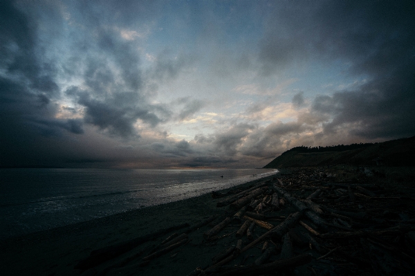 ビーチ 海 海岸 水 写真