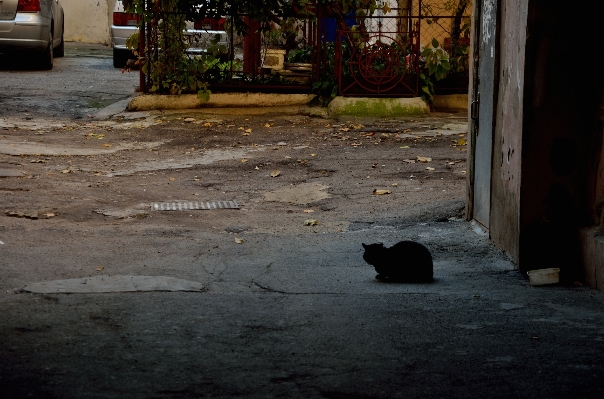 Photo Bois route rue loger