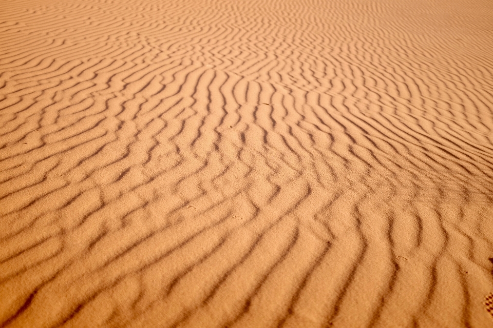 Plage paysage sable champ