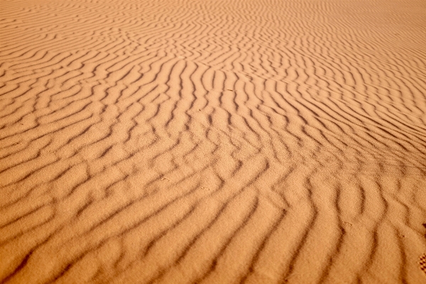 Beach landscape sand field Photo