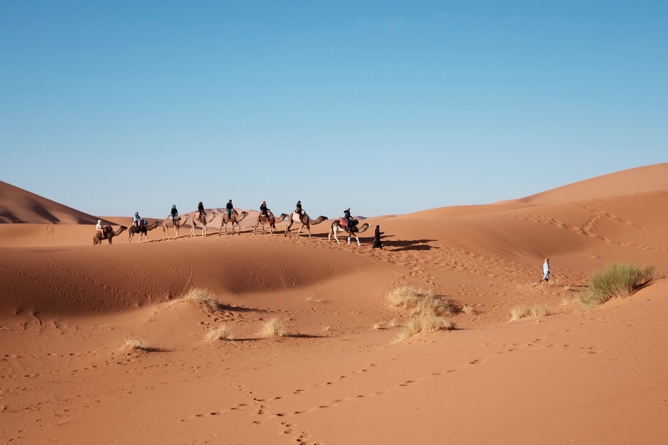 Landscape sand arid desert