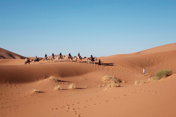 Landscape sand arid desert Photo