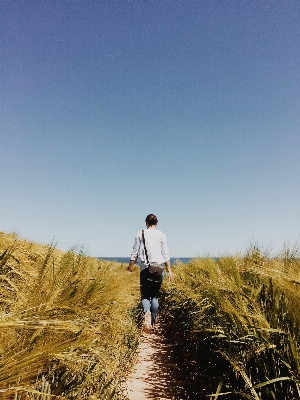 Sea coast path grass Photo