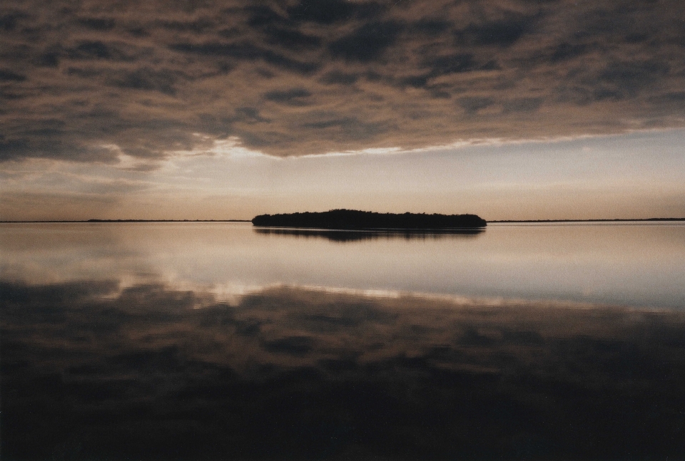 海 海岸 水 海洋