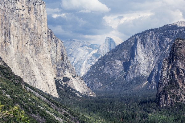 Landscape nature forest wilderness Photo