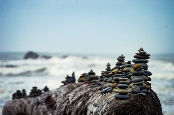 Beach sea coast nature Photo