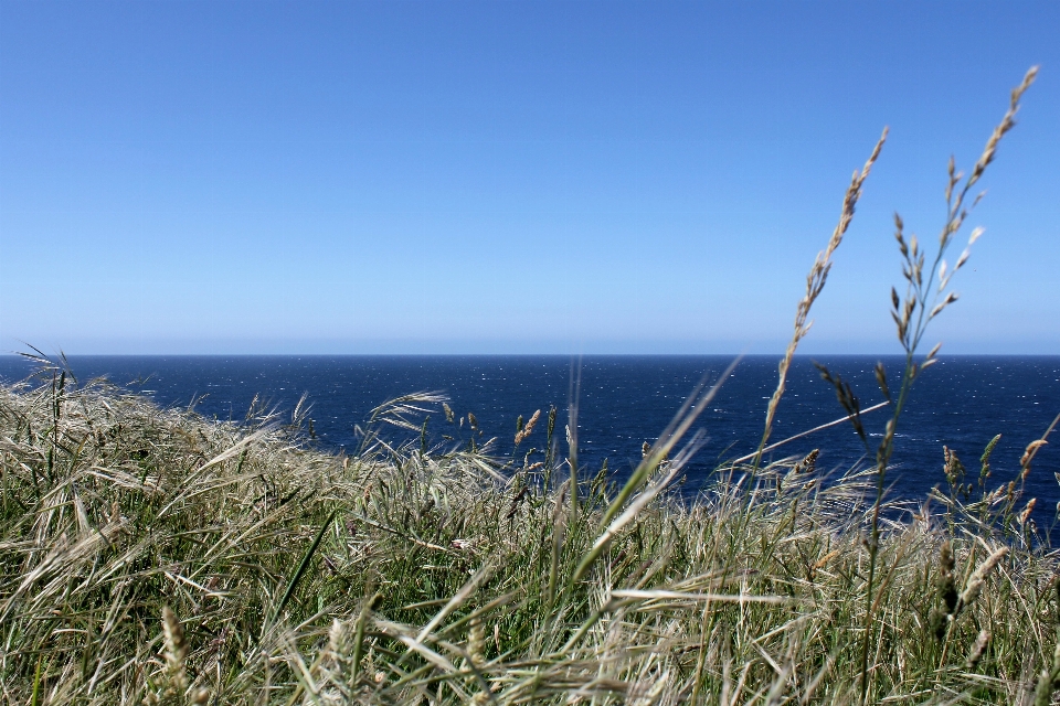 Beach landscape sea coast