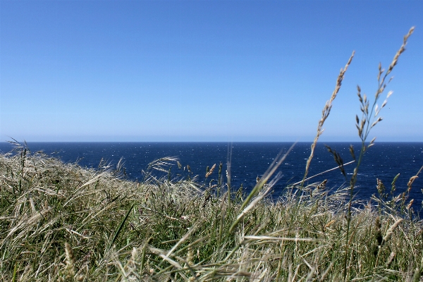 Beach landscape sea coast Photo