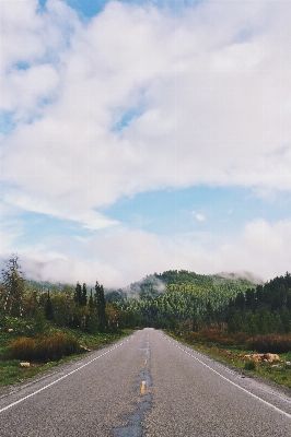 Forest horizon mountain cloud Photo