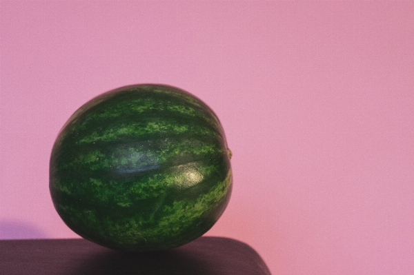 植物 フルーツ 花 食べ物 写真