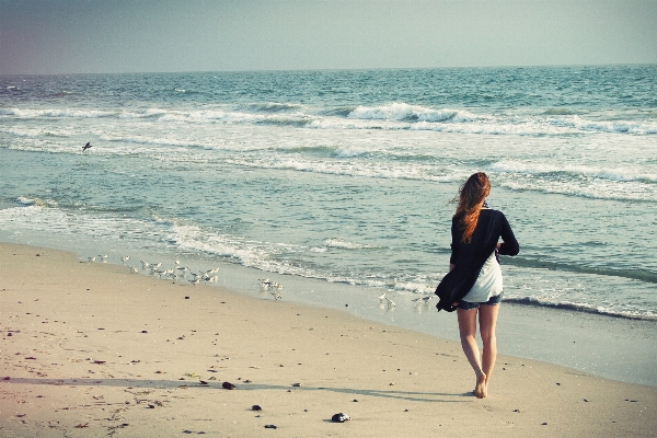 Beach sea coast sand Photo