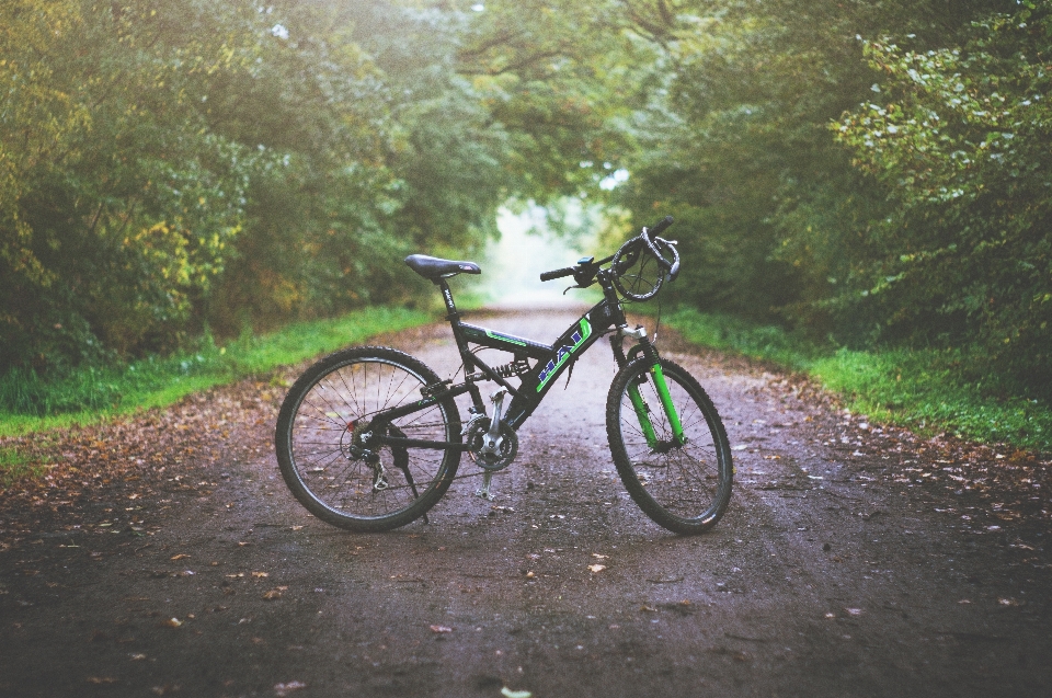 Piste vélo transport véhicule