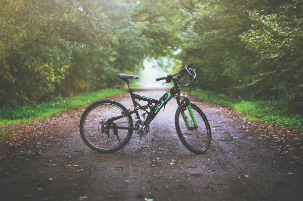 Trail bicycle transport vehicle Photo