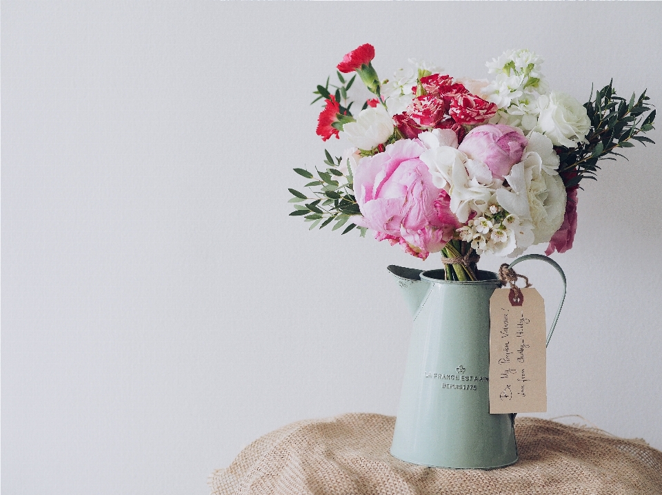 Plant flower bouquet gift