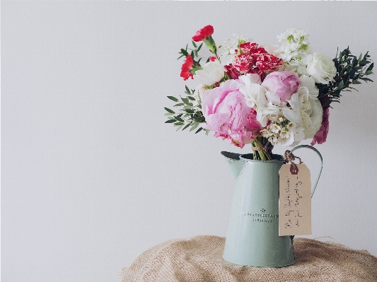 Plant flower bouquet gift Photo