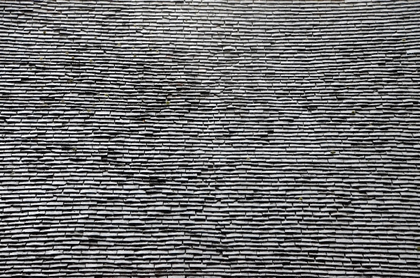 Foto Bianco e nero
 legna struttura pavimento