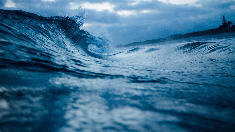 海 海岸 水 海洋