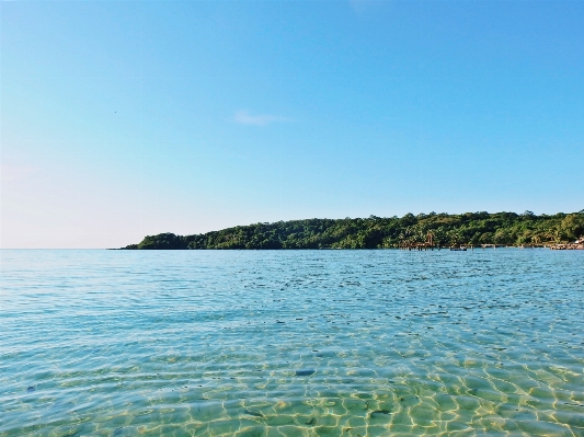 ビーチ 海 海岸 水 写真