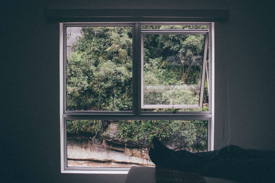 Tree house window home