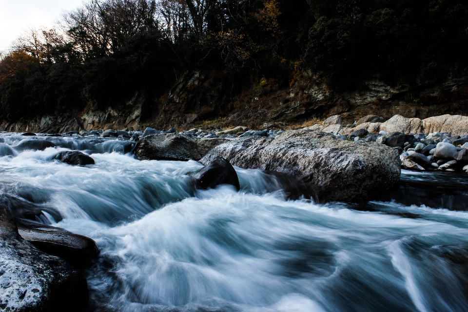 景观 海 树 水