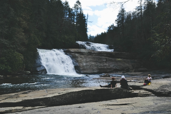 Sea water forest waterfall Photo