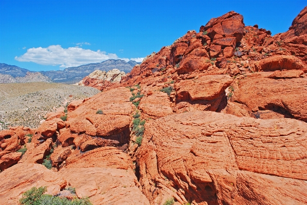 Landscape rock mountain arid Photo