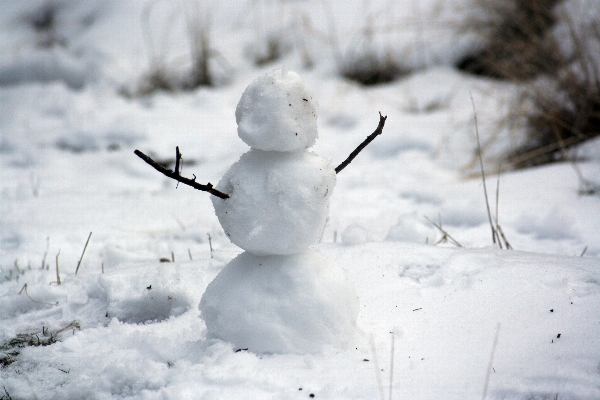 雪 寒い 冬 白 写真