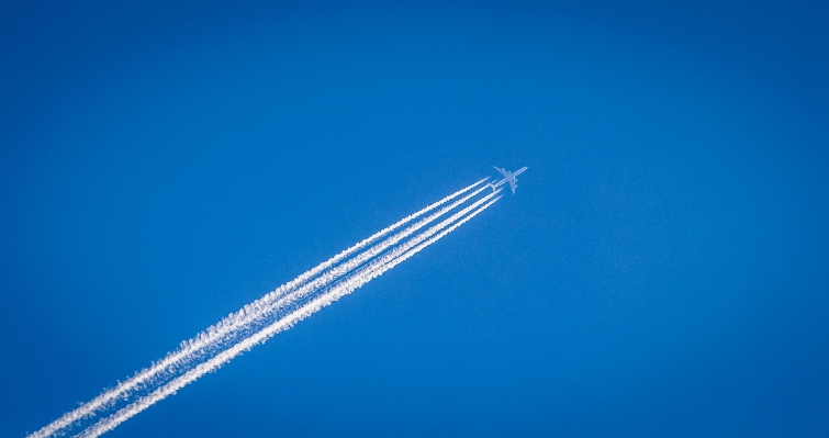 Wing sky flying airplane Photo