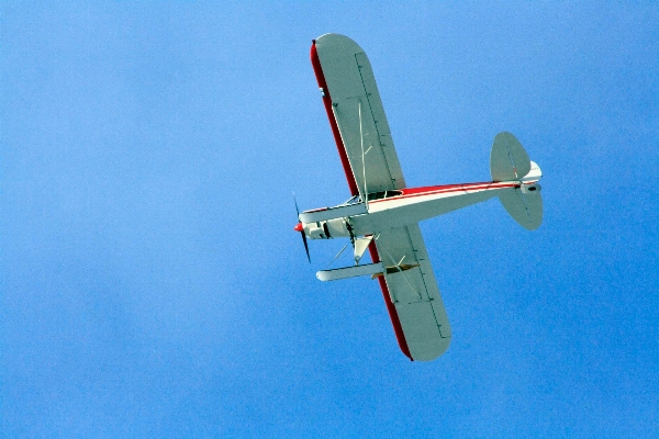 Wing sky flying airplane Photo