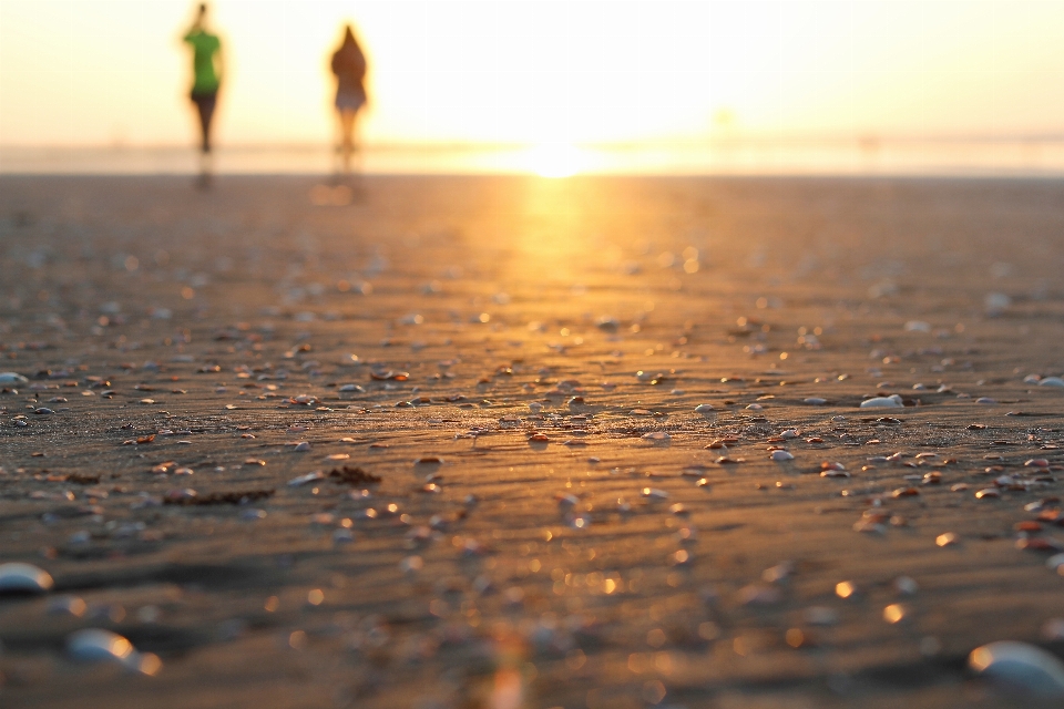 Beach sea coast water