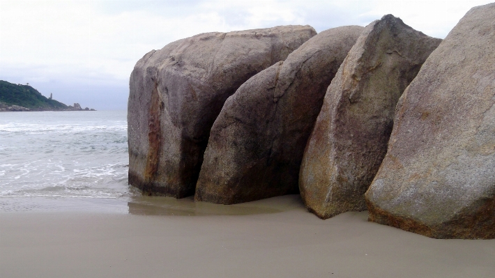 Sea coast rock wood Photo