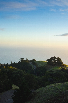 Landscape sea coast tree Photo