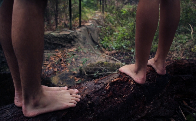 Hand forest grass girl Photo