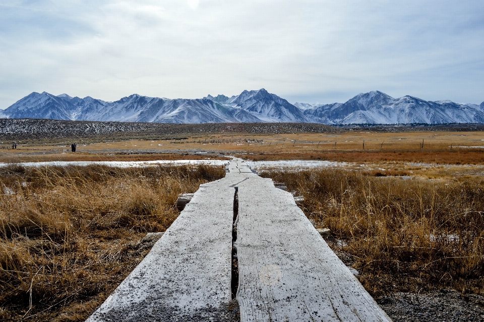 Landscape nature path wilderness