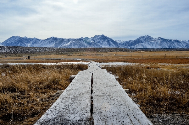 Landscape nature path wilderness Photo