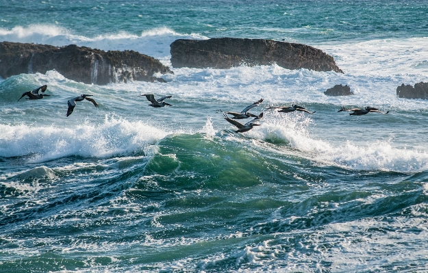 Beach sea coast rock Photo