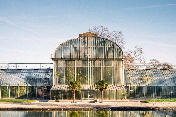 Architecture palm tree pond reflection Photo