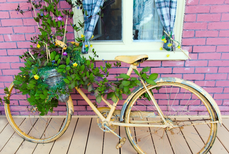 Plant wheel flower window