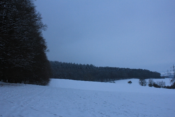 Foto árbol montaña nieve invierno