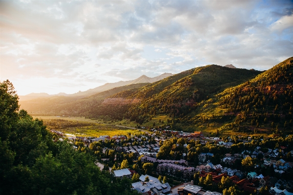 Фото пейзаж дерево природа пустыня
