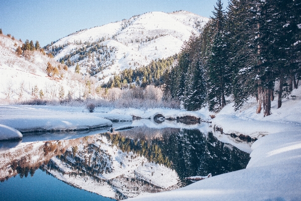 Baum wasser wildnis
 berg Foto