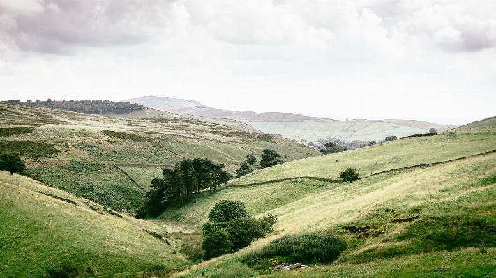 Landscape tree mountain field Photo